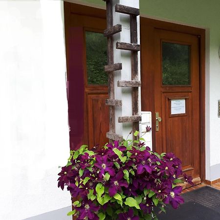 Ferienapartment 38 Sonnenwald Oberlangfurth Екстериор снимка