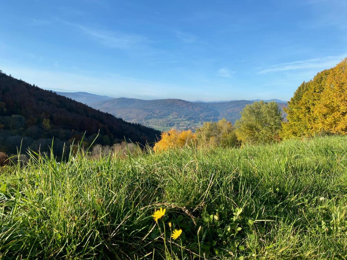 Ferienapartment 38 Sonnenwald Oberlangfurth Екстериор снимка