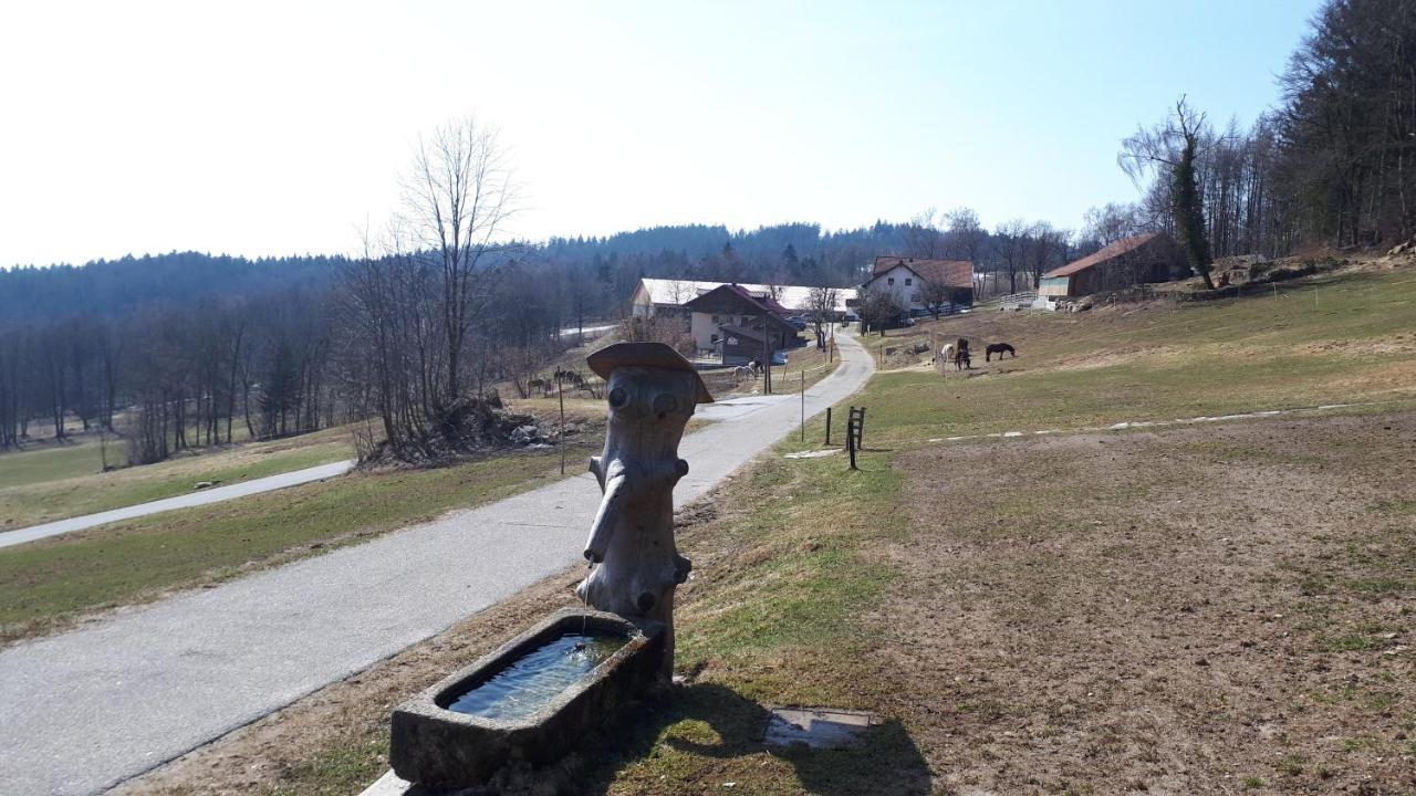 Ferienapartment 38 Sonnenwald Oberlangfurth Екстериор снимка