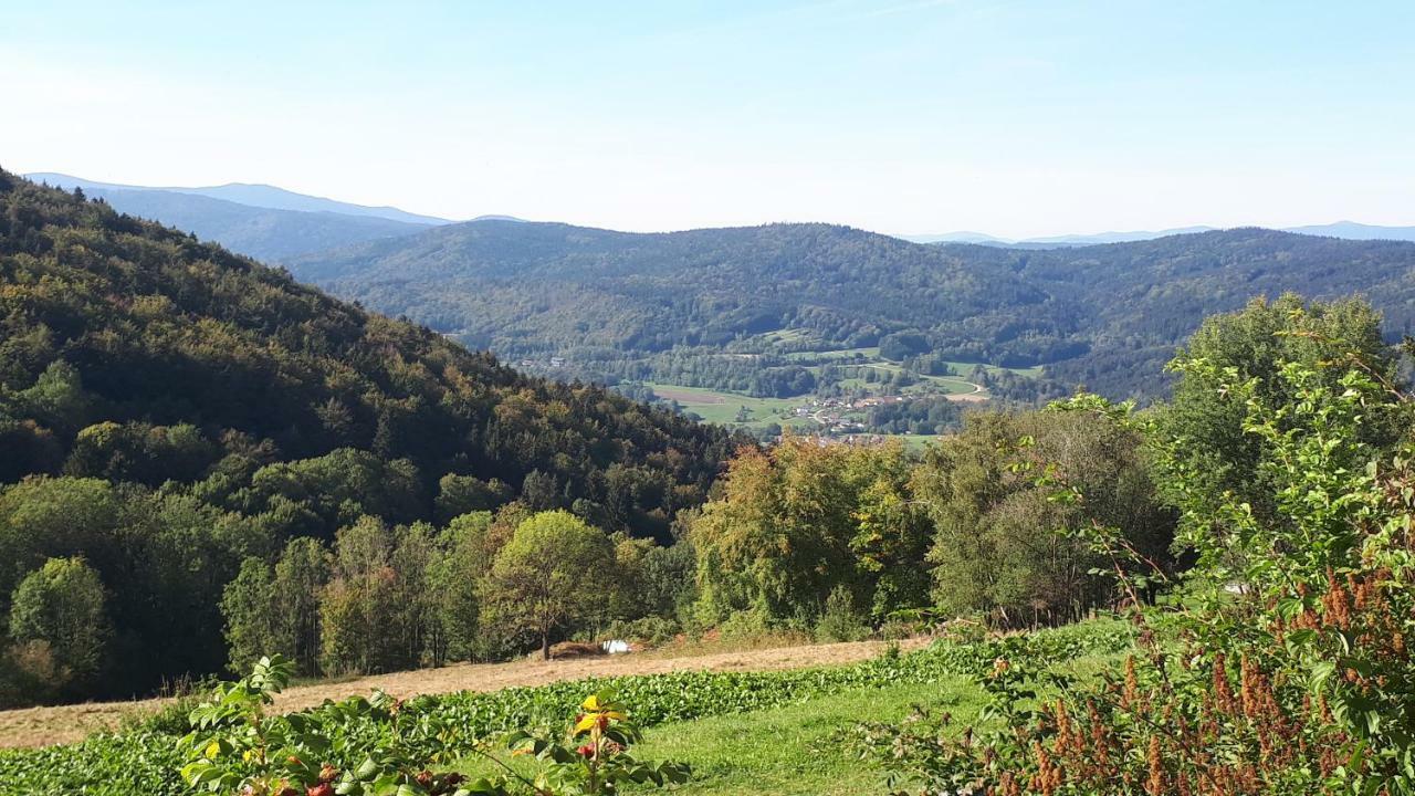 Ferienapartment 38 Sonnenwald Oberlangfurth Екстериор снимка